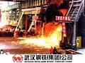 武汉钢铁（集团）公司